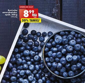 Biedronka Borówka amerykańska oferta