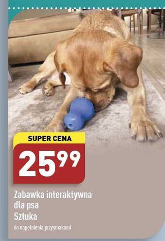 ALDI Zabawka interaktywna dla psa oferta