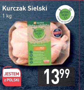 Stokrotka Kurczak oferta