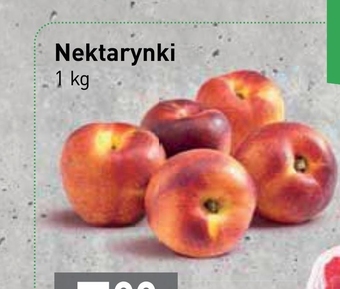 Stokrotka Nektarynki oferta