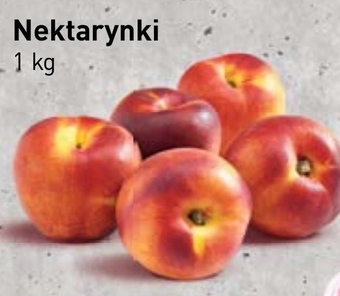 Stokrotka Market Nektarynki oferta