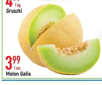 E.Leclerc Melon galia oferta