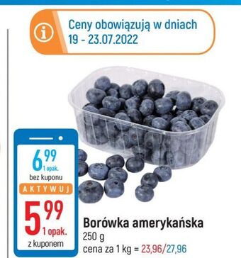 E.Leclerc Borówki amerykańskie oferta