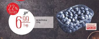 E.Leclerc Borówki amerykańskie oferta