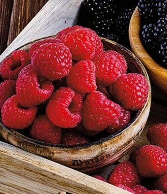 Biedronka Maliny oferta