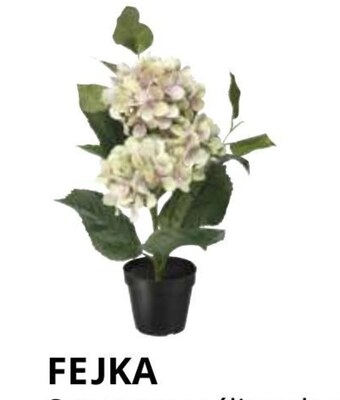 IKEA Sztuczna roślina ikea oferta