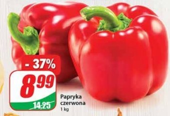 Dino Papryka oferta