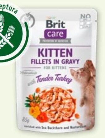 Maxi Zoo Karma dla kota brit care oferta