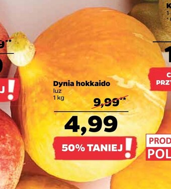 Dynia netto