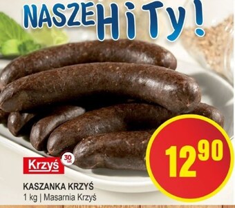 Słoneczko Kaszanka krzyś oferta