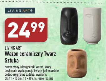 ALDI Wazon ceramiczny twarz living art oferta