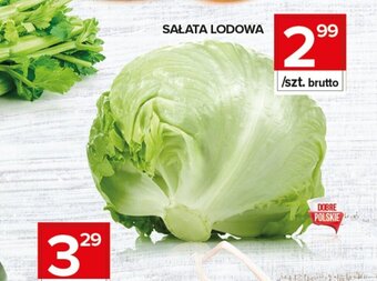 Topaz Sałata lodowa oferta