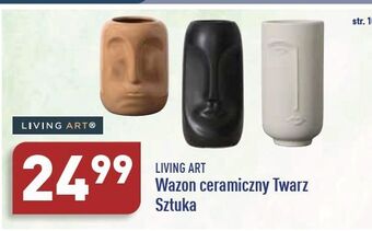ALDI Wazon ceramiczny twarz living art oferta