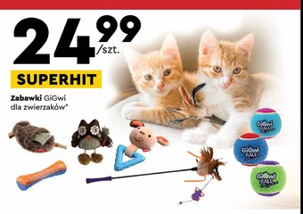 Biedronka Zabawka dla kota oferta