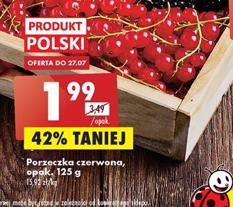 Porzeczka czerwona