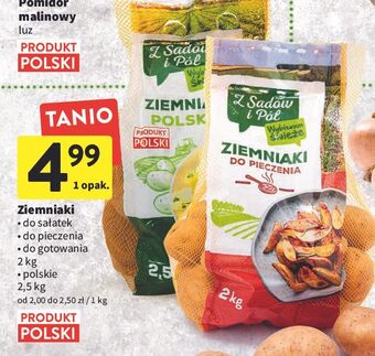 Intermarche Ziemniaki do pieczenia z sadów i pól oferta