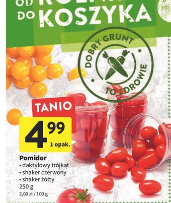Intermarche Pomidory czerwone shaker oferta
