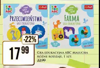 Dino Gra edukacyjna mały odkrywca przeciwieństwa oferta