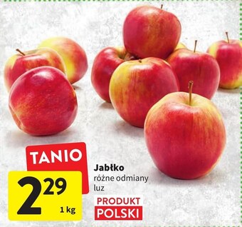 Intermarche Jabłka oferta