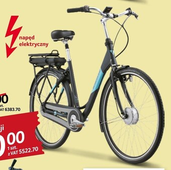 Selgros Rower elektryczny wheeler oferta