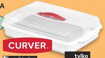 Kaufland Pojemnik na ciasto curver oferta