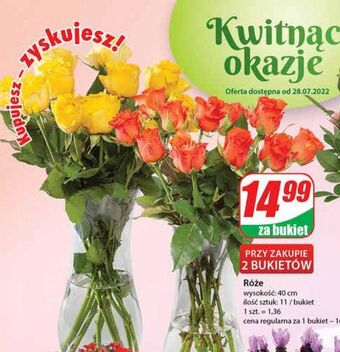 Dino Róża 40 cm oferta