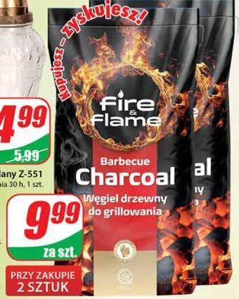 Dino Węgiel drzewny fire & flame oferta