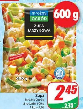 Dino Zupa jarzynowa mroźny ogród oferta