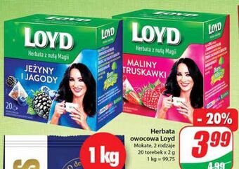 Dino Herbata jeżyny i jagody loyd tea the magic experience oferta