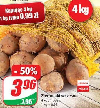 Dino Ziemniaki wczesne oferta