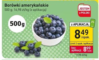 Stokrotka Market Borówki amerykańskie 500 g oferta