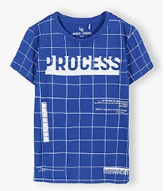 5.10.15. T-shirt chłopięcy oferta