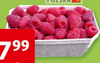 Auchan Maliny oferta