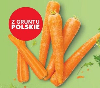 Kaufland Marchew oferta