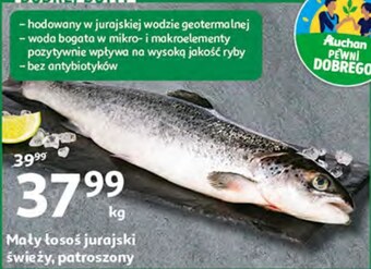 Auchan Łosoś oferta