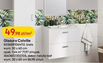 Castorama Glazura oferta