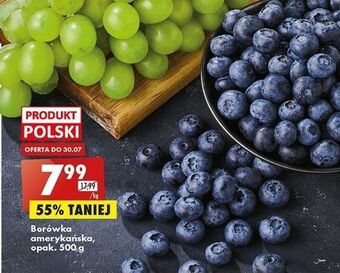 Biedronka Borówka amerykańska oferta
