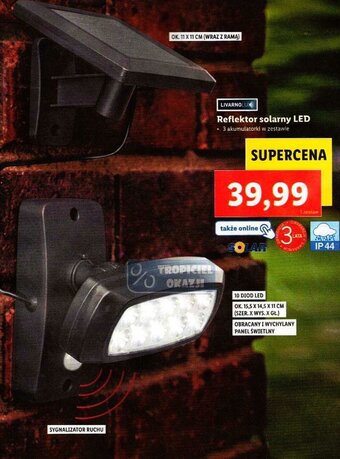 Lidl Reflektor solarny LED oferta