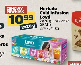 Netto Herbata Cold Infusion 2x20g oferta