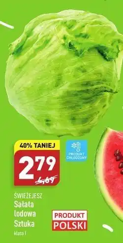 ALDI Sałata lodowa świeże jesz oferta