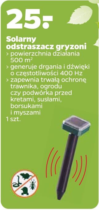 Netto Solarny odstraszacz gryzoni oferta