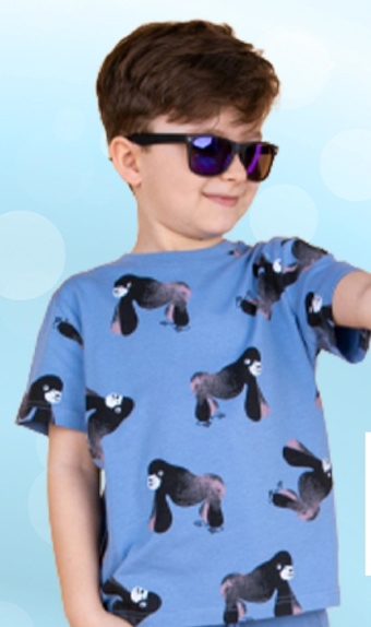 T-shirt chłopięcy coccodrillo