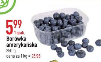 E.Leclerc Borówki amerykańskie oferta