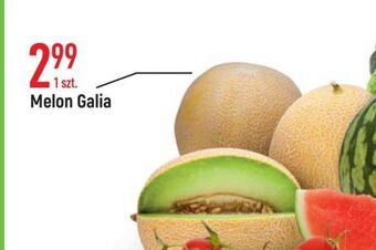 E.Leclerc Melon galia oferta