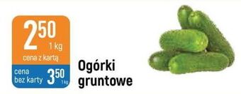 E.Leclerc Ogórki gruntowe oferta