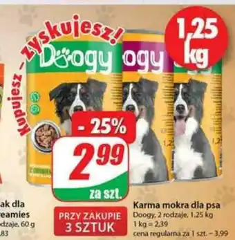 Dino Karma mokra dla psa Doogy 1,25kg oferta