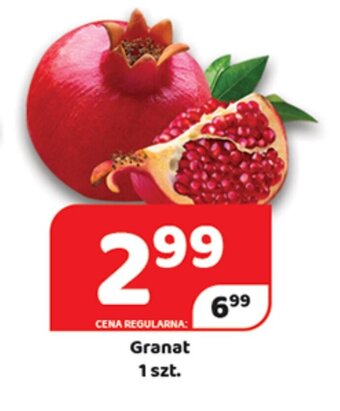 Delfin Granat 1 szt. oferta