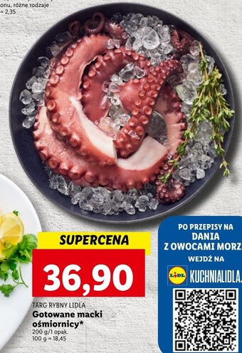 Lidl Macki ośmiornicy targ rybny lidla oferta