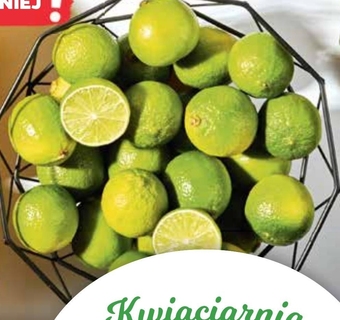 Netto Limonka oferta
