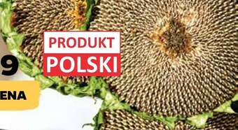 Netto Słonecznik oferta